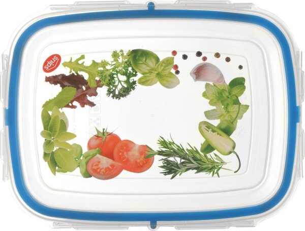 Snips Set 3 Pezzi Contenitori Alimenti in Plastica BPA Free Capacit 600 ml colore Trasparente e Blu Snipslock - 000869