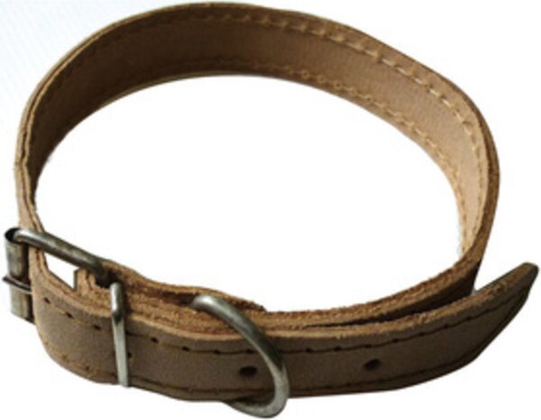 AllMyPets Set 6 Collari per Cani Sfoderato 51 cm