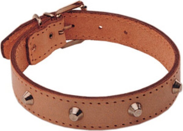 AllMyPets Set 6 Collari per Cani 61 cm Borchiato - 20-35