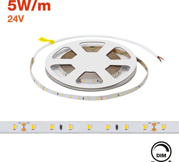 Striscia LED 24V 5W/m Alta Efficienza Professionale - IP20 - 5 metri