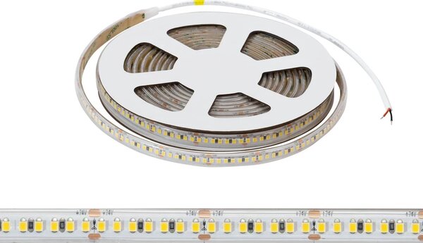 Striscia LED 24V 20W/m Alta Efficienza Professionale - IP67 - 5 metri