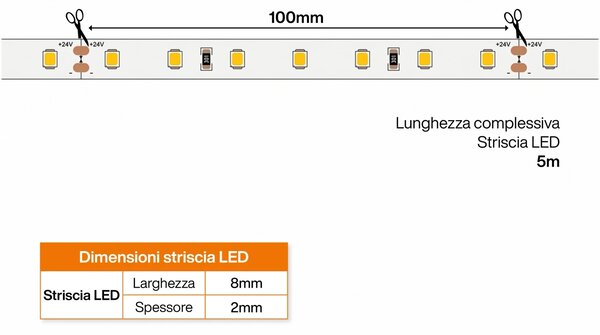 Striscia LED 24V 5W/m Alta Efficienza Professionale - IP20 - 5 metri
