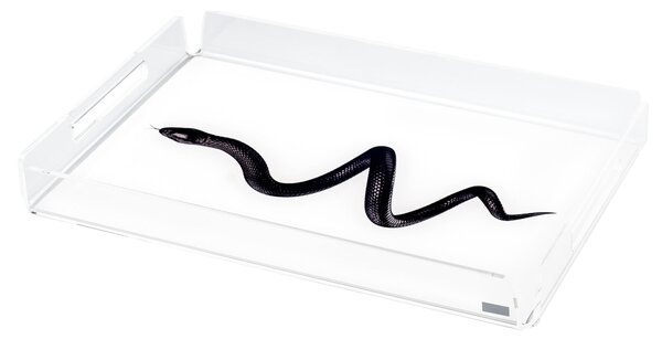 Vassoio small like water snake, dimensioni h32x22x3,5 cm, peso 0,44 kg, spessore 5 mm decorato