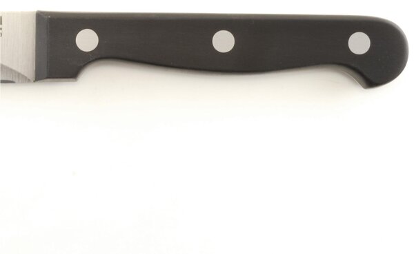 Coltello da Bistecca Jumbo Rodeo realizzato in acciaio 18/10 lunghezza 240 mm lucidato a specchio. in busta di Nylon