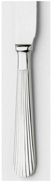 Coltello da Bistecca manico Pieno EDEN in acciaio inox 18.10 lucido spessore 3 mm