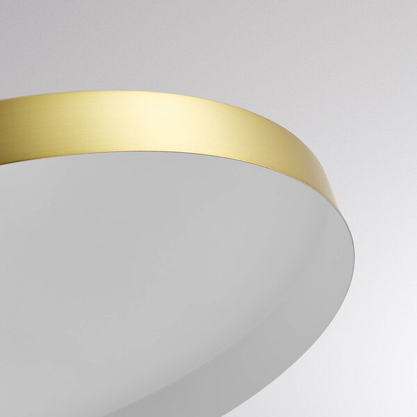 Molto Luce Lampada a sospensione su binario LED LORA III, ottone, Ø 36 cm, 40°, CCT, III, Ottone / Oro, Soggiorno / Sala da pranzo, Metallo, Moderno