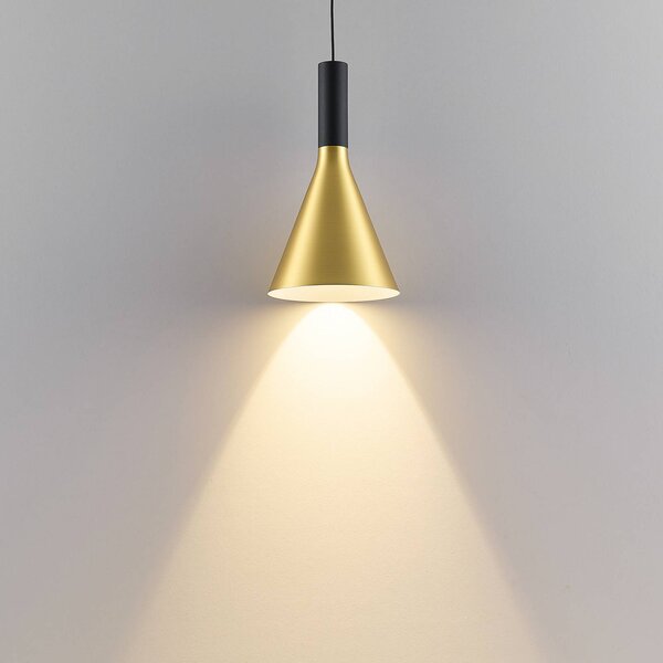 Molto Luce Lampada a sospensione su binario LED LORA I, ottone, Ø 15 cm, 40° CCT, trifase I, Ottone / Oro, Soggiorno / Sala da pranzo, Metallo, Moderno