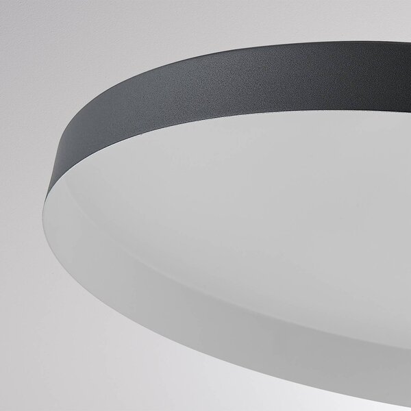 Molto Luce Lampada a sospensione su binario LED LORA III, nera, Ø 36 cm, 40°, CCT, III, Nero, Soggiorno / Sala da pranzo, Metallo, Moderno