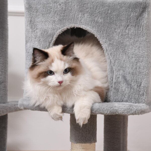 AllMyPets Tiragraffi per Gatti Albero Tiragraffi Max. 4.5kg Grigio - D35355