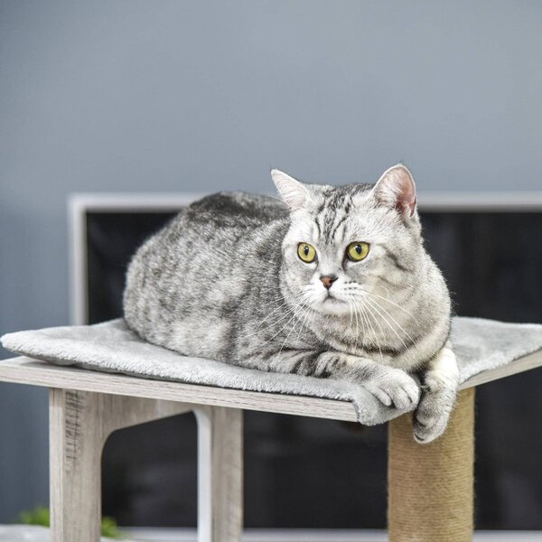 AllMyPets Tiragraffi per Gatti Albero Tiragraffi Multi-livello Cuccia e Corde in Iuta Grigio - D30318