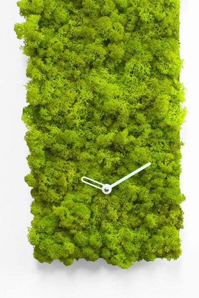Orologio Clock Circle 80x20 coperto da muschio verde profilo