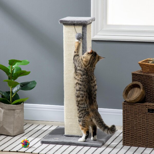 AllMyPets Tiragraffi per Gatti con Pallina Palo in Sisal e Rivestimento in Peluche 41x41x81 cm colore Grigio - R4060GY