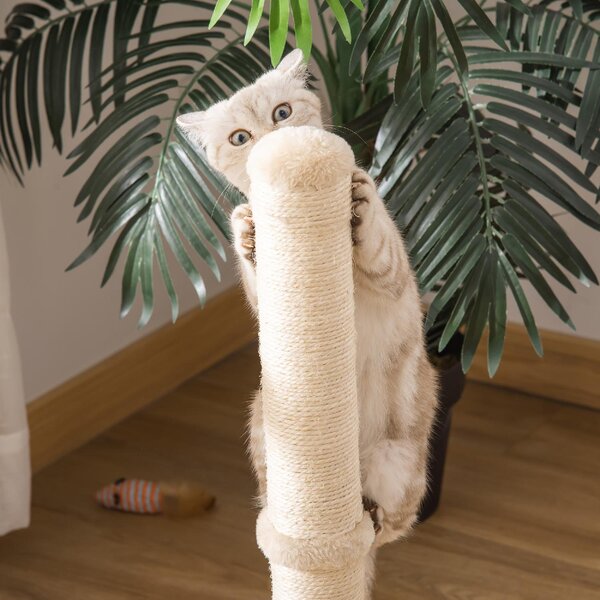 AllMyPets Tiragraffi per Gatti con Palo in Sisal Alto 60 cm e Base in Truciolato colore Beige - U486455