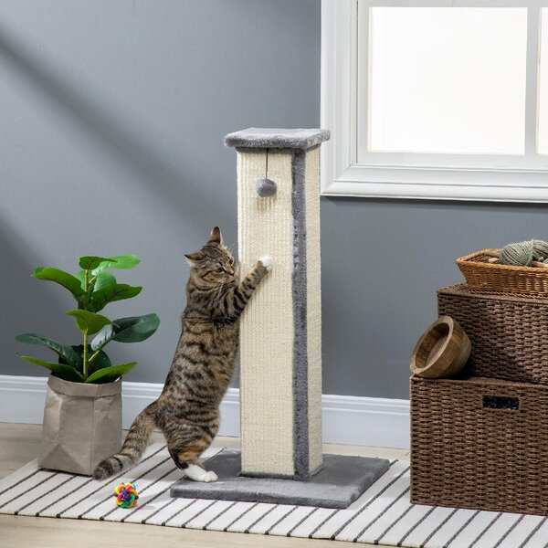 AllMyPets Tiragraffi per Gatti con Pallina Palo in Sisal e Rivestimento in Peluche 41x41x81 cm colore Grigio - R4060GY