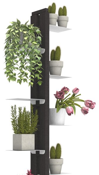 Porta piante a colonna ZIA FLORA 42x30xh 155 cm con - dist. in altezza min 33-max 44 cm legno massello di faggio evaporato colore Nero Mensole in acciaio smaltato