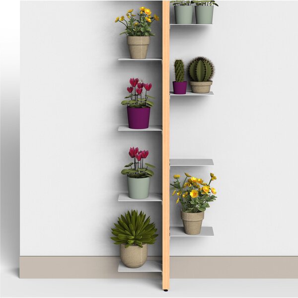 Porta piante Fissaggio a Parete Bifacciale ZIA FLORA 42x17xh 200 cm con struttura I in legno massello di faggio evaporato colore naturale Mensole in acciaio smaltato