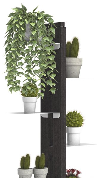 Porta piante a colonna ZIA FLORA 42x30xh 110 cm- dist. in altezza min 33-max 44 cm struttura legno massello di faggio evaporato colore NERO Mensole in acciaio smaltato