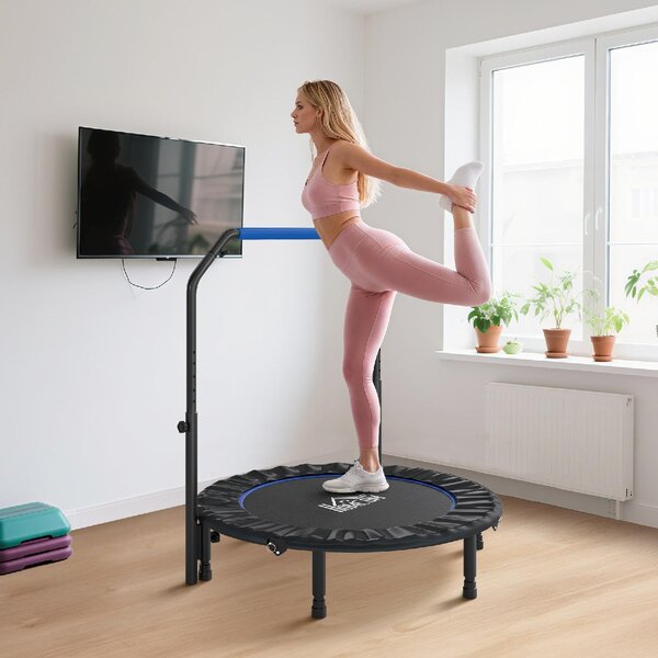 DecHome Trampolino Fitness 114 cm Pieghevole con Manubrio Regolabile in Altezza colore Blu e Nero