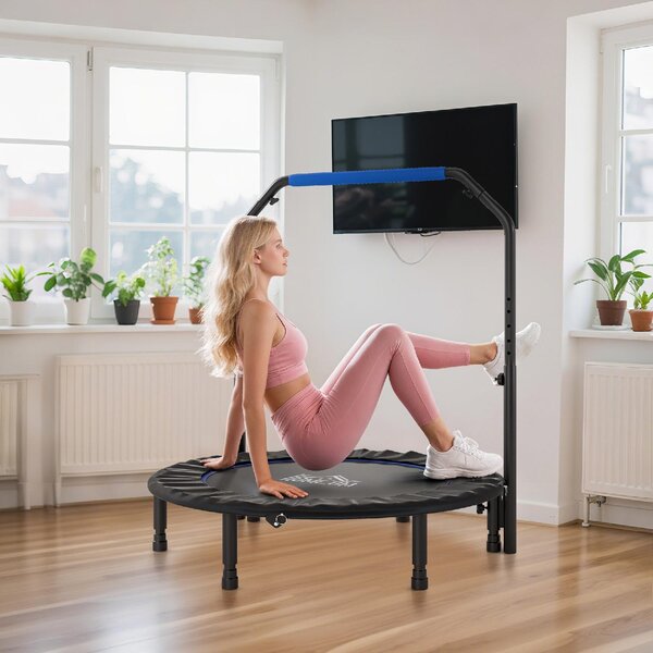 DecHome Trampolino Fitness 114 cm Pieghevole con Manubrio Regolabile in Altezza colore Blu e Nero