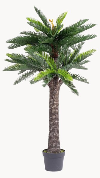 Pianta artificiale Cycas