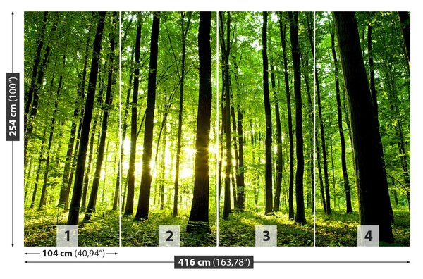 Carta da parati Foresta verde 104x70 cm