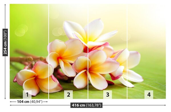 Carta da parati Fiori frangipani 104x70 cm