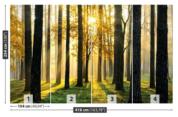 Carta da parati Foresta al mattino 104x70 cm