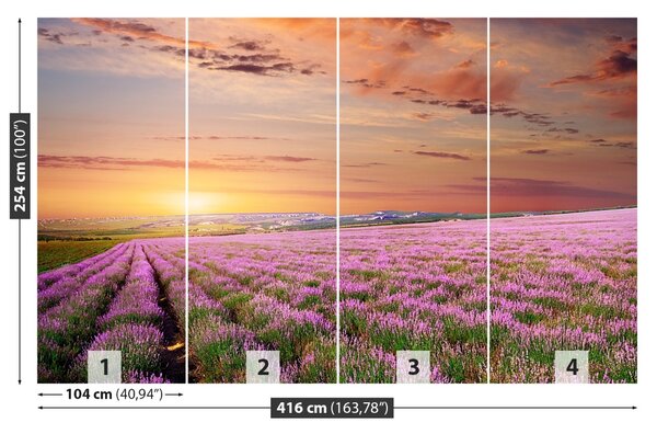 Carta da parati Campo di lavanda 104x70 cm