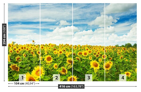 Carta da parati Campo di girasole 104x70 cm