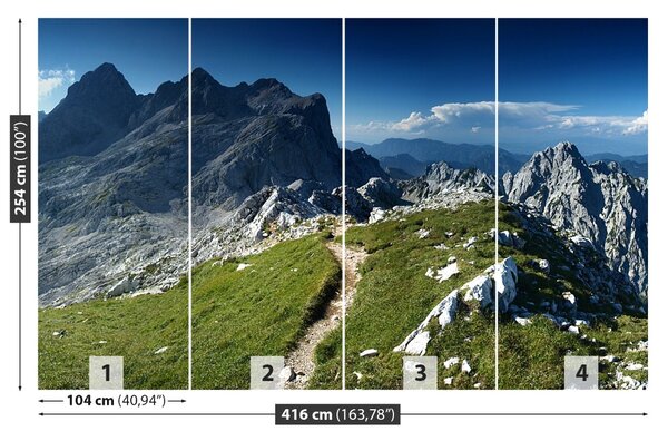 Carta da parati Alpi Slovenia 104x70 cm