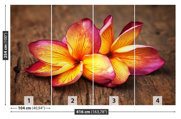 Carta da parati Plumeria Wood 104x70 cm