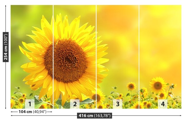 Carta da parati Girasoli gialli 104x70 cm