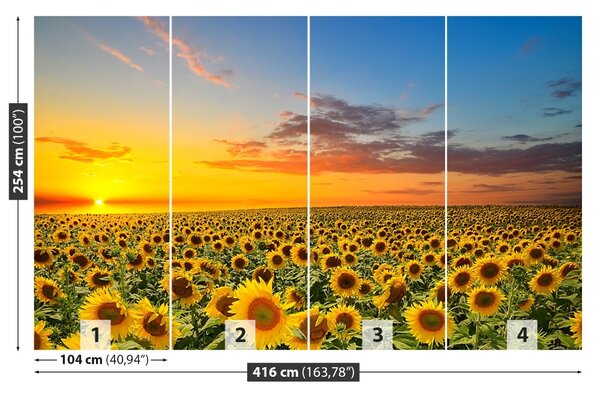 Carta da parati Campo di girasole 104x70 cm