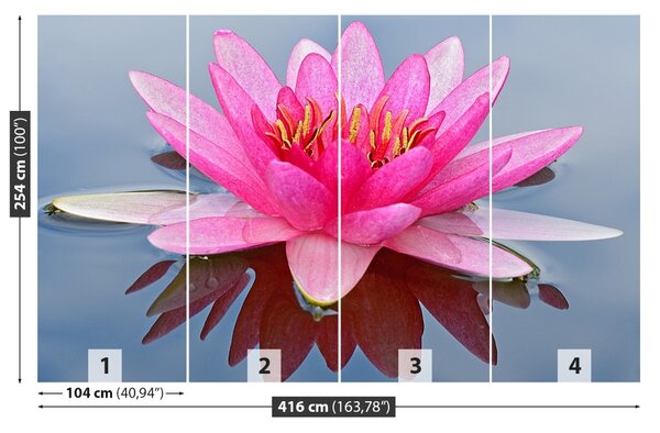 Carta da parati Lily di acqua rosa 104x70 cm