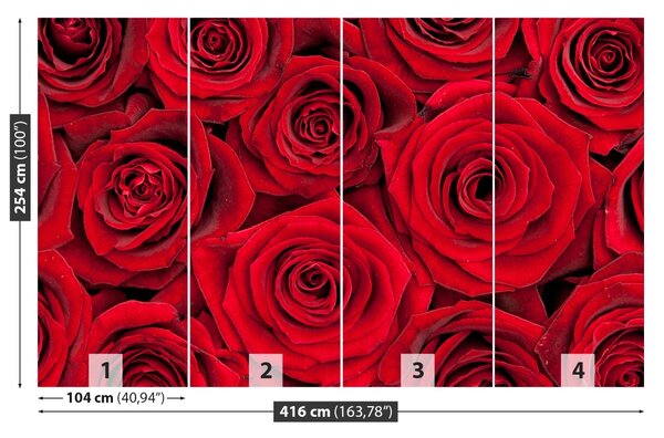 Carta da parati Rose rosse 104x70 cm