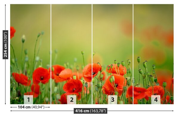 Carta da parati Fiori di papavero 104x70 cm