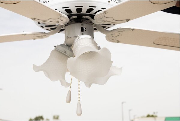 Kooper Ventilatore da Soffitto con Luce 130 cm 5 Pale 3 Velocit - 2193208 Windy
