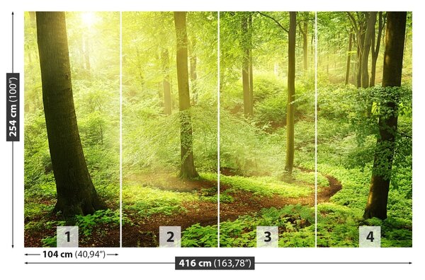 Carta da parati Foresta nebbiosa 104x70 cm