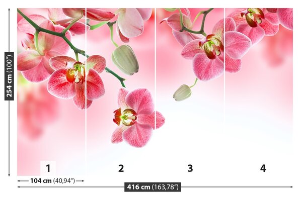 Carta da parati Orchidee tropicali 104x70 cm