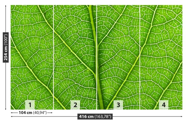 Carta da parati Foglia verde 104x70 cm