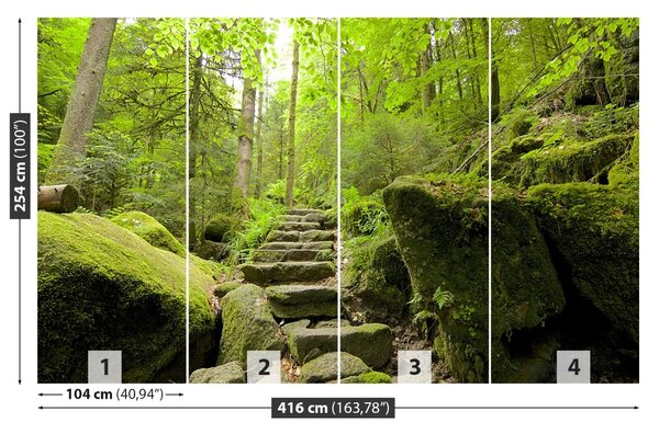 Carta da parati Trail forestale 104x70 cm