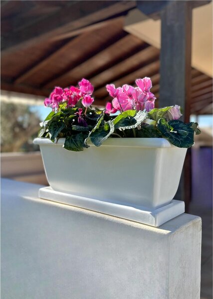 Fioriera rettangolare per esterni in polietilene esterno interno MOD LIBERTY Dimensione 22x51xh22,5 cm - peso 2 kg con foro di drenaggio. Sottovaso incluso Bronzo