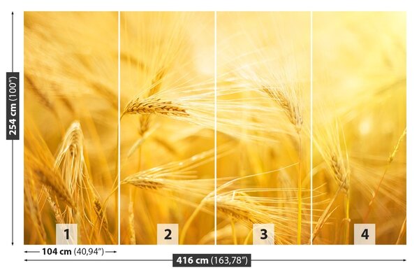 Carta da parati Campo di grano 104x70 cm