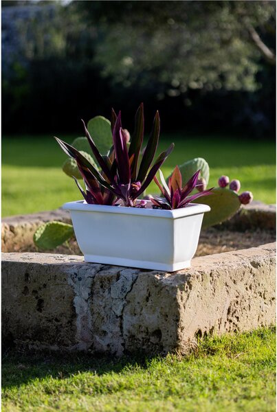 Fioriera rettangolare per esterni in polietilene esterno interno MOD LIBERTY Dimensione 22x51xh22,5 cm - peso 2 kg con foro di drenaggio. Sottovaso incluso kiwi