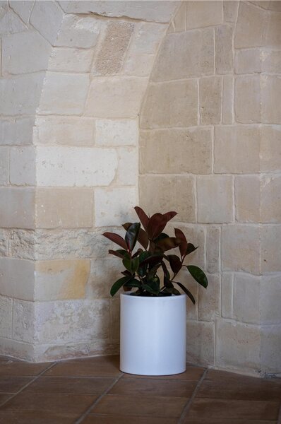 Vaso Porta vaso, in polietilene BAROCCO Dimensione 35x h70 cm Modello Ionico spessore 2 mm colore Giallo