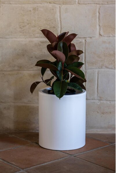 Vaso Porta vaso, in polietilene BAROCCO Dimensione 35x h70 cm Modello Ionico spessore 2 mm colore Grafite