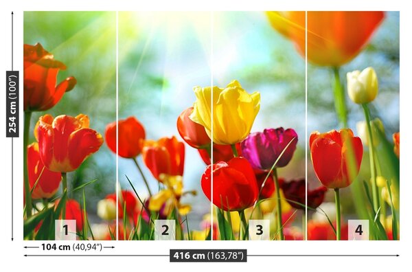 Carta da parati Tulips Flowers 104x70 cm