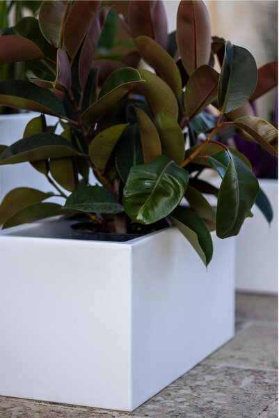 Fioriera rettangolare porta vaso OASI Dimensione 30x60x h 30 cm per uso interno esterno peso 4,5 kg colore kiwi