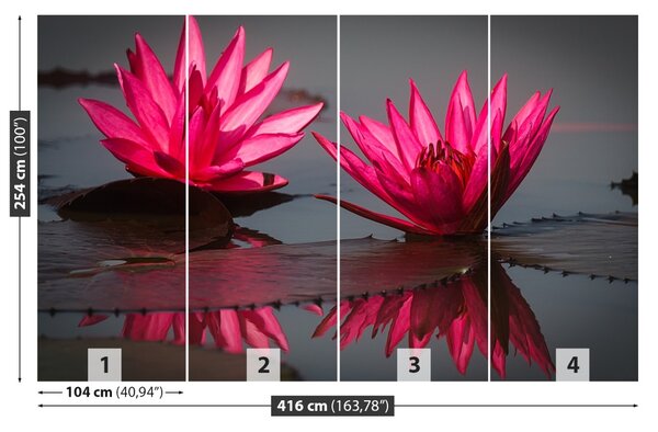 Carta da parati Gigli di acqua rosa 104x70 cm