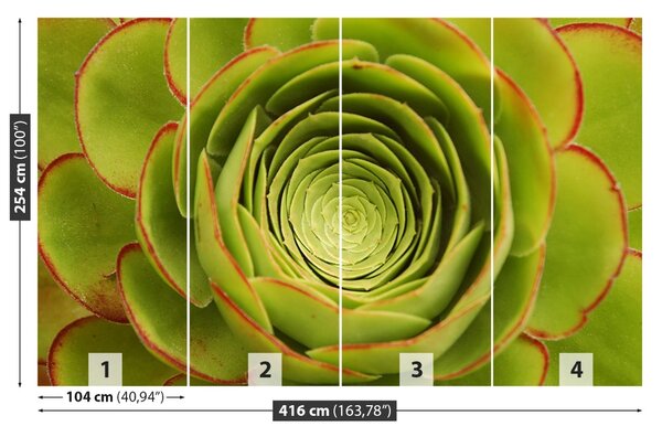 Carta da parati Fiore verde 104x70 cm